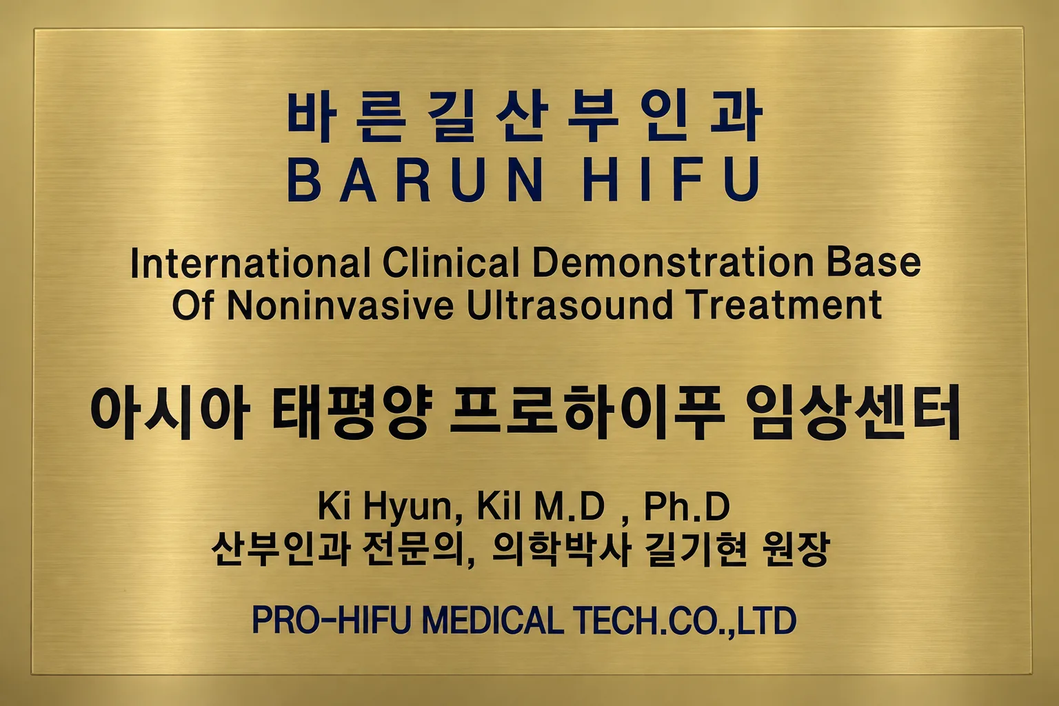 브러시드 골드 바룬 하이푸 명판